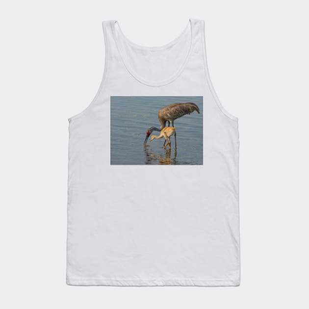 Feeding Sandhill Cranes Tank Top by joesaladino